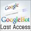 Googlebot Last Access